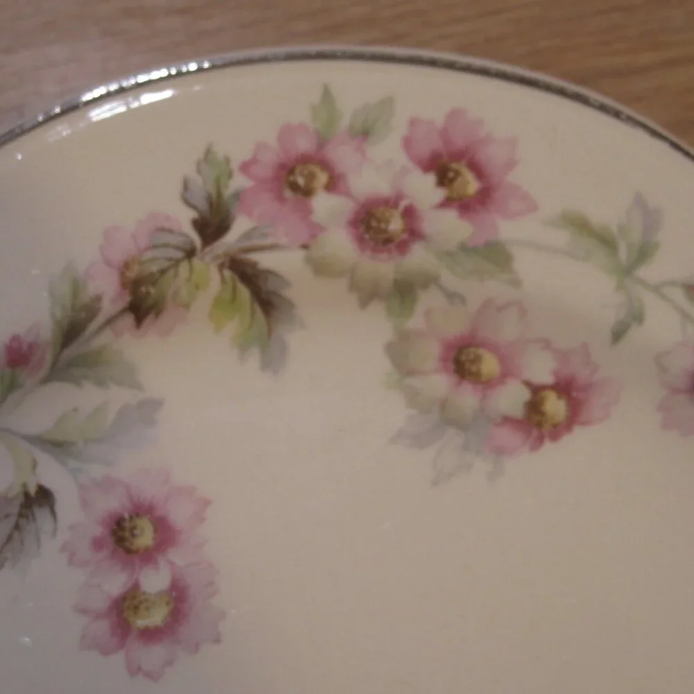 7  Virginia Rose Homer Laughlin Dishes